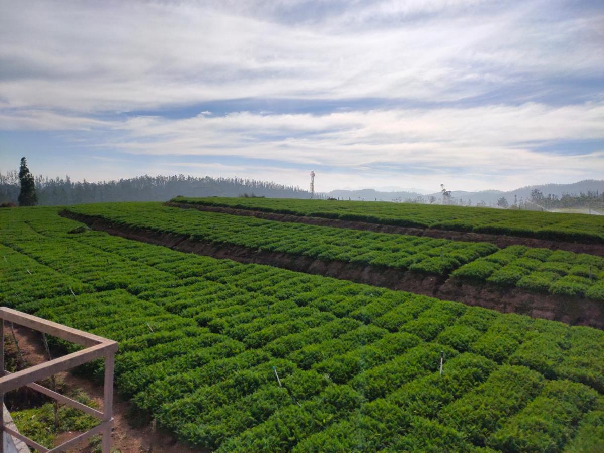 Brown Tree Resorts Ooty Eksteriør billede