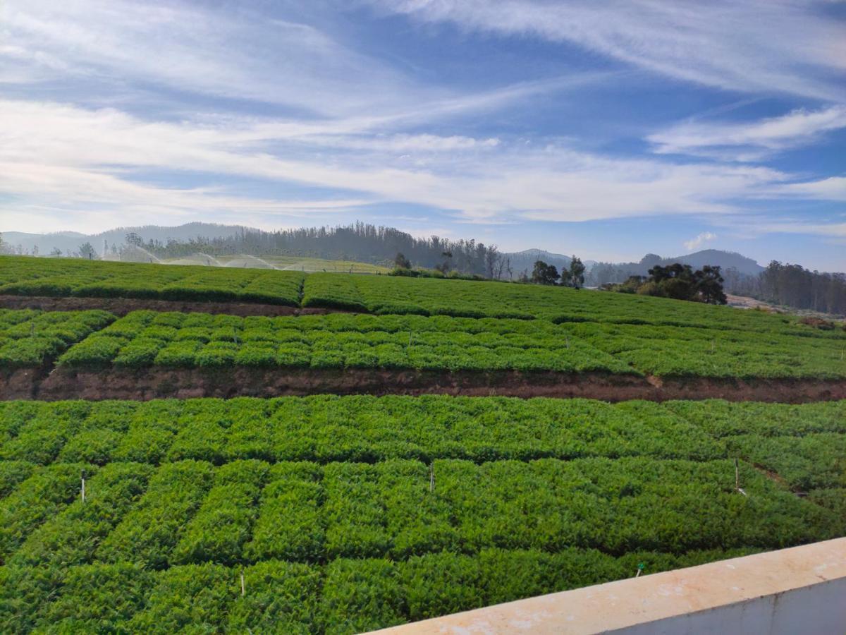 Brown Tree Resorts Ooty Eksteriør billede